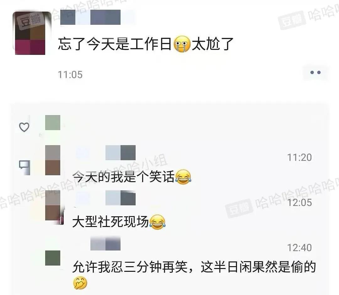 哈哈哈哈哈我笑到我家的狗偷开邻居家的车送我去精神病院