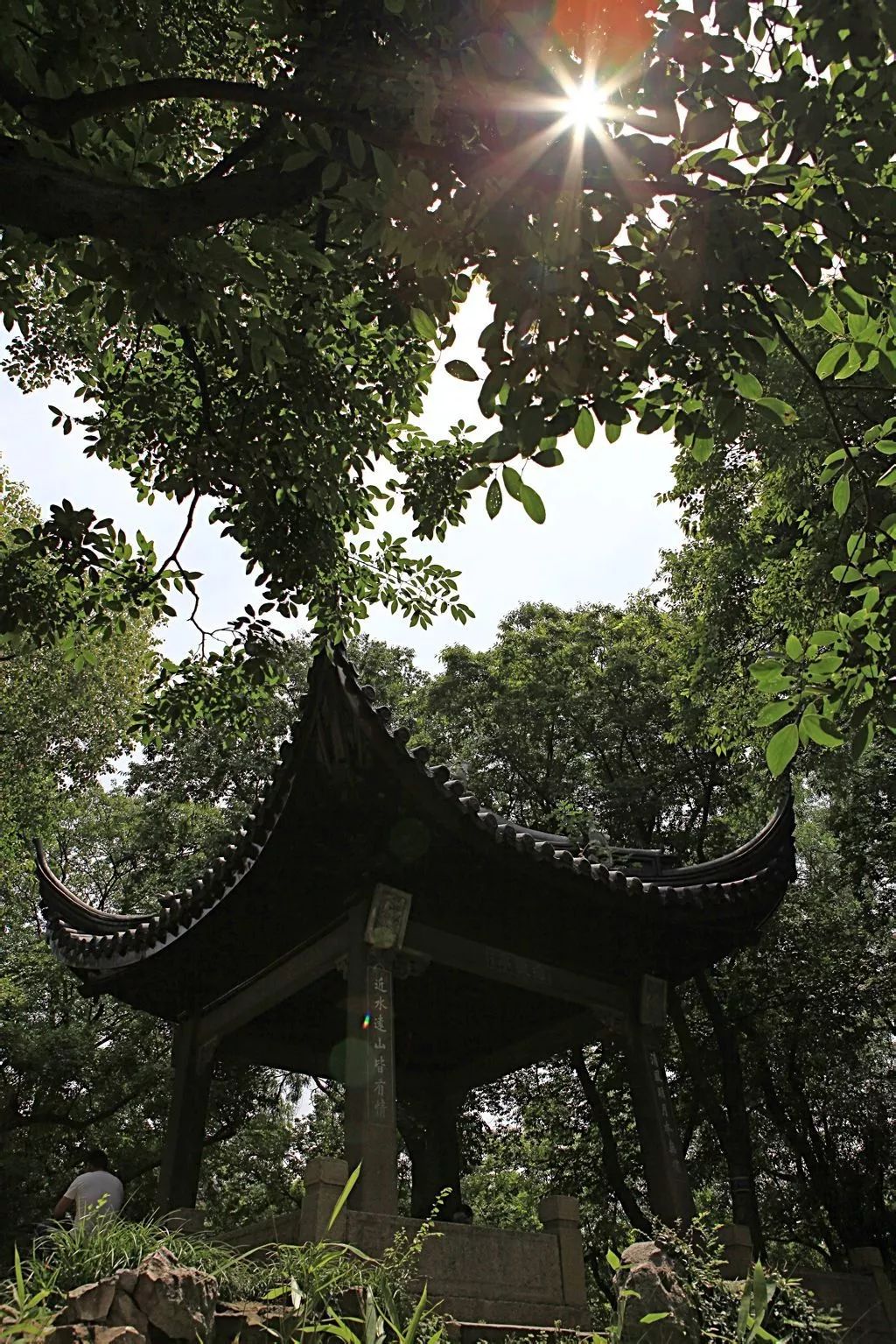 苏州古典园林沧浪亭介绍 (苏州沧浪亭园林图片)