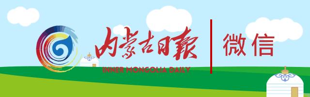 在内蒙古家里没几匹马和骆驼都不能愉快地玩耍了！