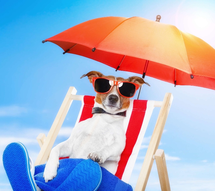 美美的壁纸图片,漂亮唯美图片壁纸