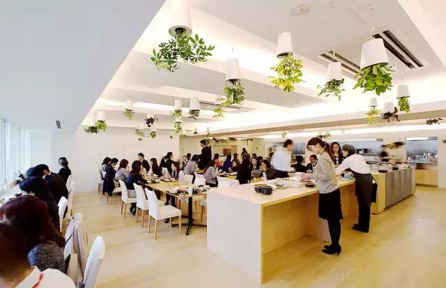 办公室里也能开挖掘机,办公室可以种葡萄