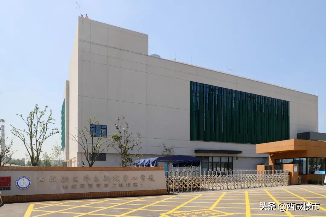 新增的231个学位是什么,5年内新增438万公办学位