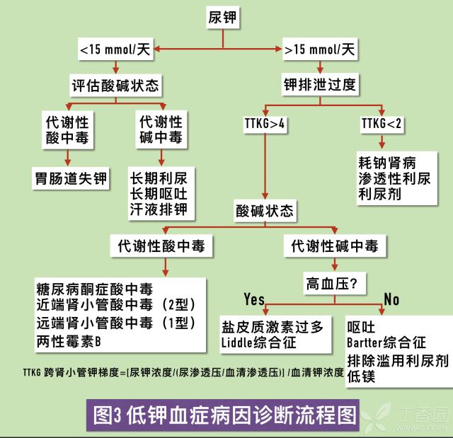 低钾血症治疗药物,低钾血症处理措施课件
