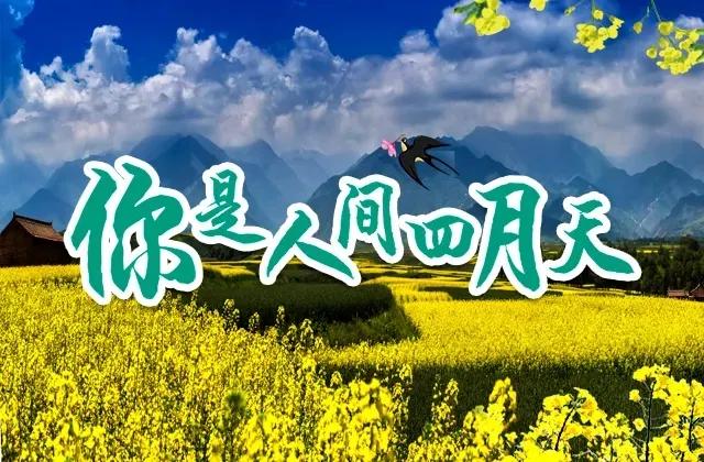 探丝路,探丝路之旅