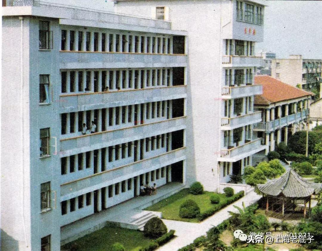 「川沙县篇」回望上世纪八九十年代的上海学校，有侬的母校伐？