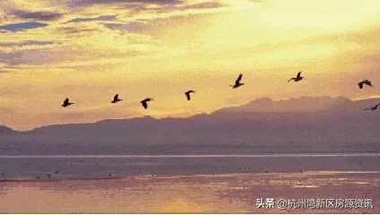 浙江杭州湾新区发展前景,浙江杭州湾新区是属于浙江哪里