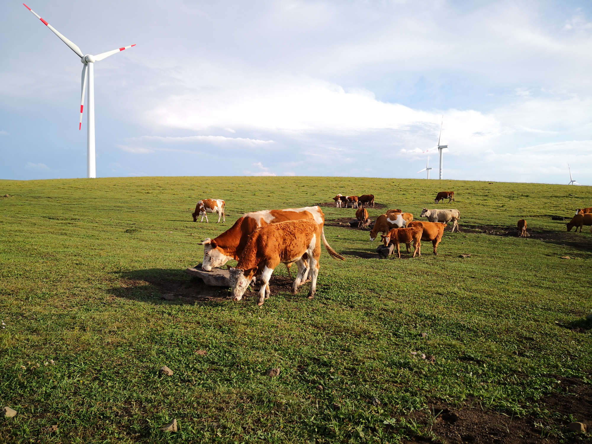乌兰布统和红松洼哪个更值得去,辽宁乌兰布统草原旅游
