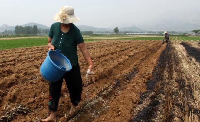 化肥结块碎了还能用吗,化肥结块可以打吗