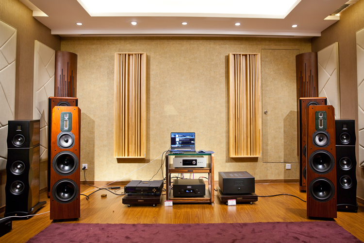 hegelh390合并式功放,hegelh390功放内部图片