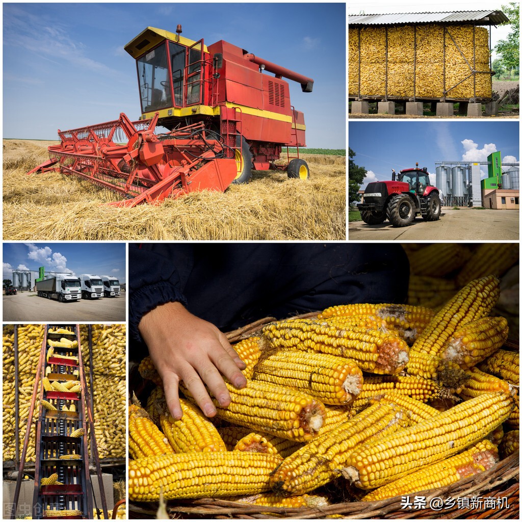 农民返乡创业有哪些好项目可以做,今年农村创业哪些项目最赚钱