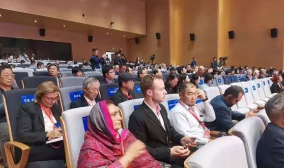 今天的洛阳,今天的洛阳洛邑古城