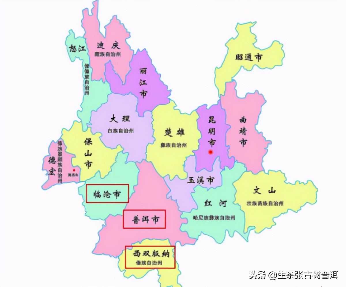 普洱茶的生长环境与产区有哪些,普洱茶的简介