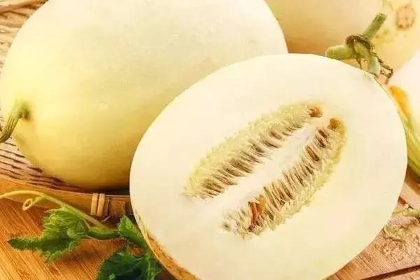 如何挑选又甜又好的黄香瓜,教你怎样挑出香甜可口的香瓜