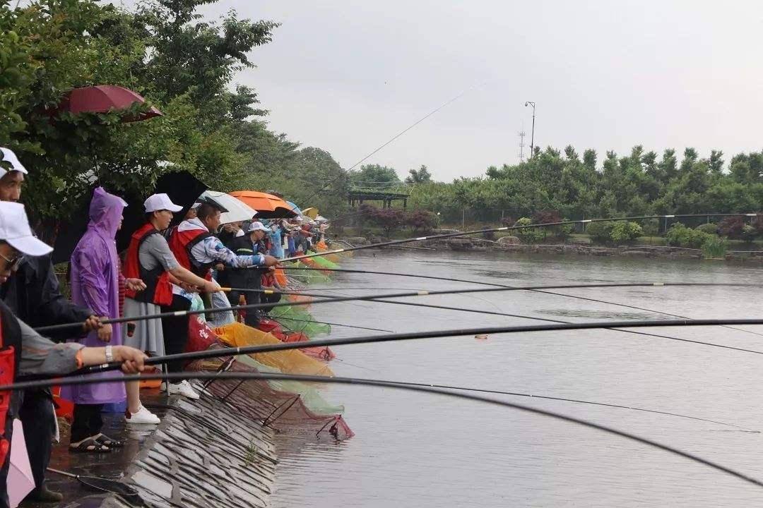 钓鱼王疯钓鲤推荐配方,钓鲤秘方