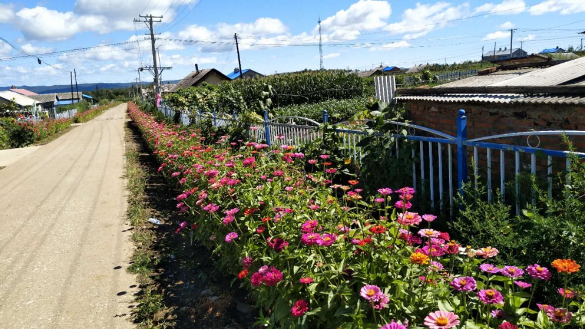 石虎沟村里的“多面虎”！