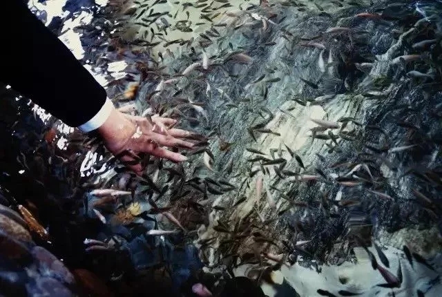 天目湖旅游度假区三大温泉,天目湖温泉御水温泉