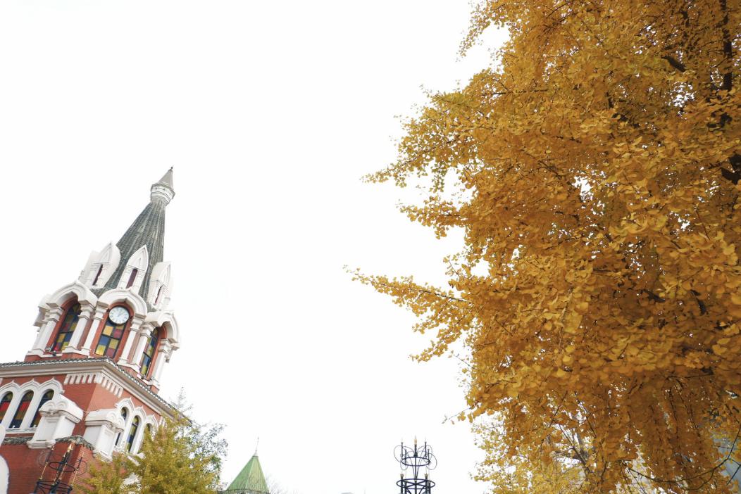 三亚和厦门哪个更值得去玩,三亚和厦门哪个更值得去游玩