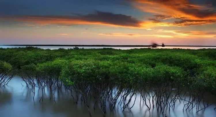 北海涠洲岛5天4晚旅游攻略五个人,西安到涠洲岛机票