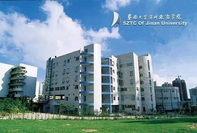 沙井最新消息今天,沙井迎来更新热潮