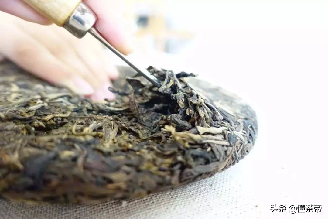 泡茶时要不要用茶滤？茶小白和泡茶老手各执一词