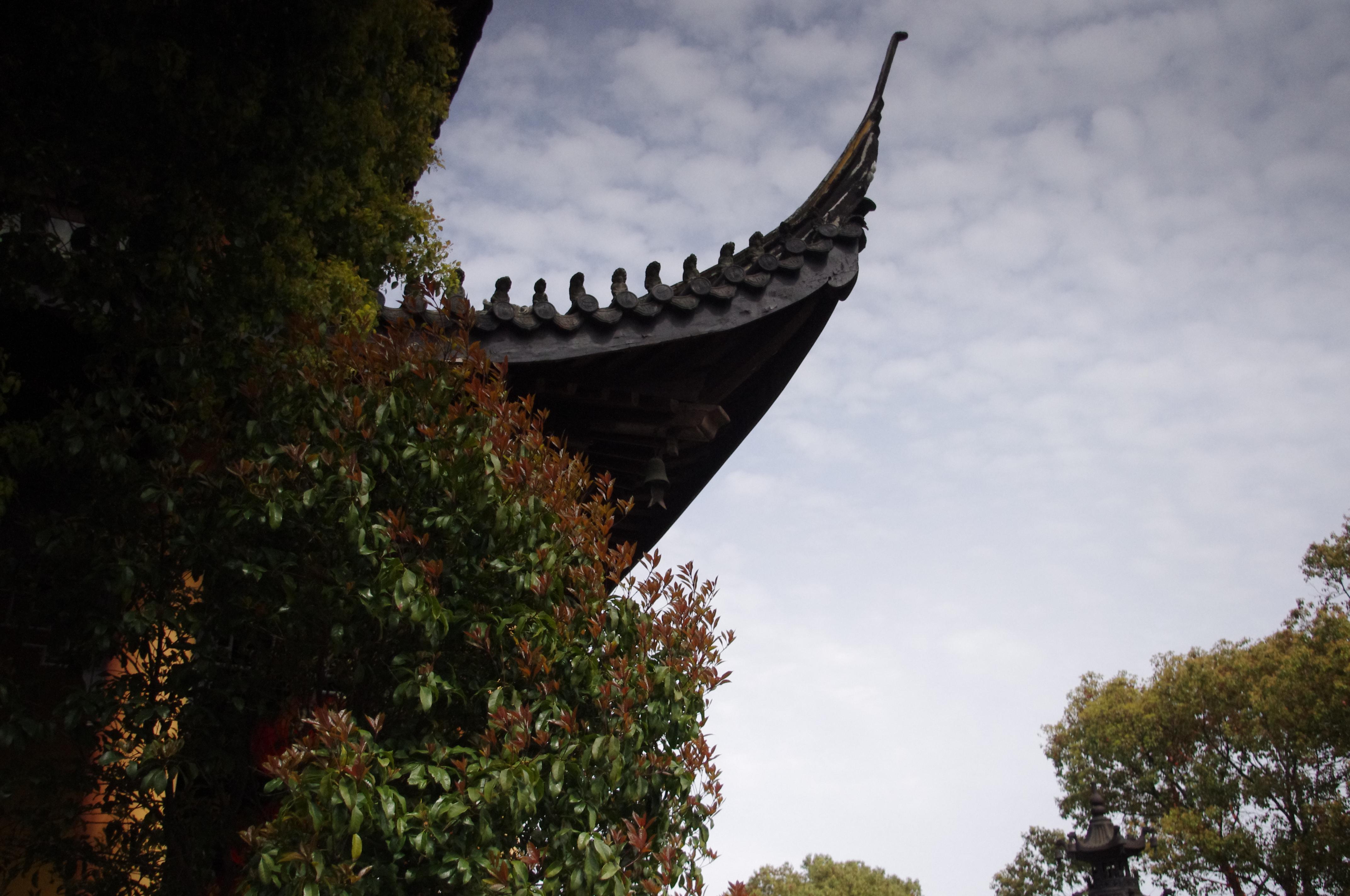 周庄古镇免费进入攻略,周庄古镇门票免费时间