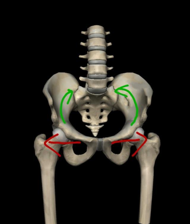 光靠青蛙趴能练出横叉来吗,横叉青蛙趴训练目的