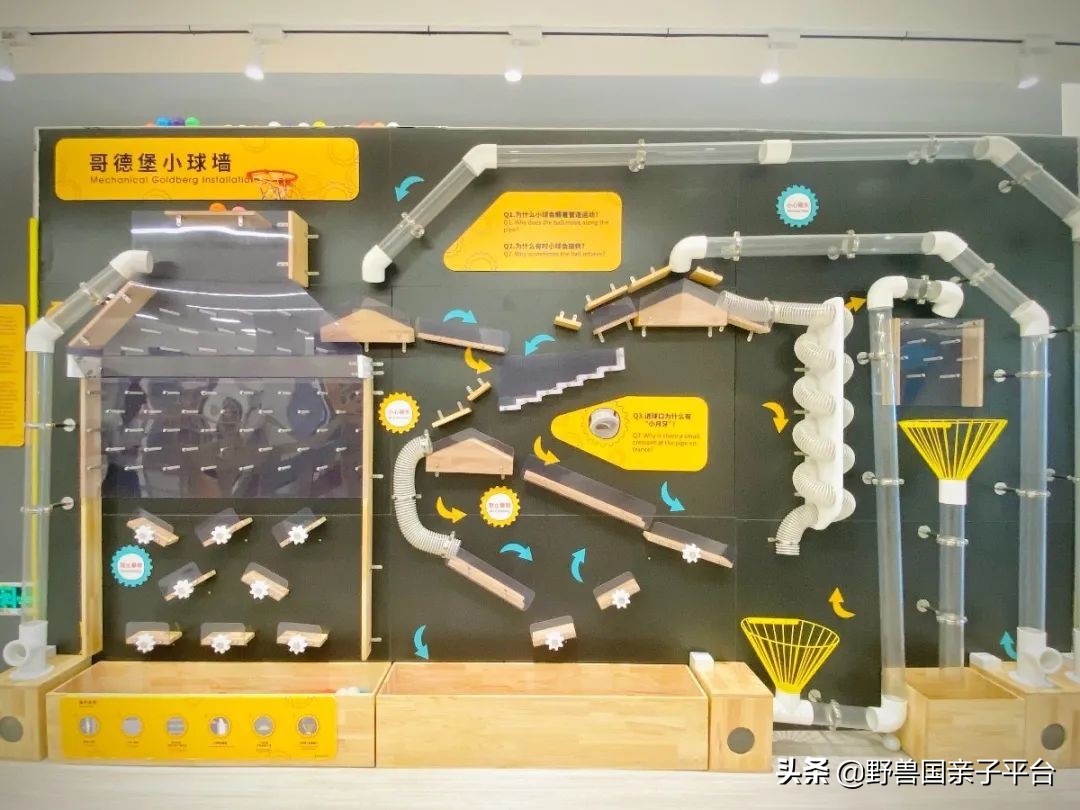 一年20万学费的清澜山学校,都在学些什么?