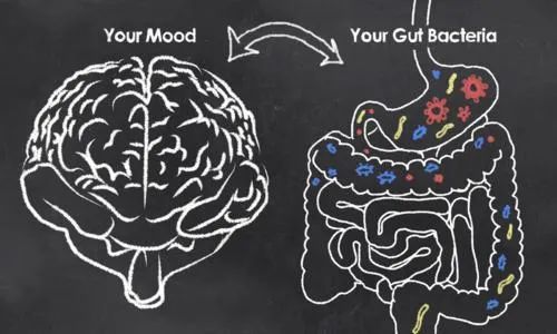 肠道炎症的症状有哪些,肠道炎症引起的症状有哪些