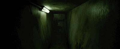 寄生虫像瓢虫一样,寄生虫在密封的环境中能存活吗