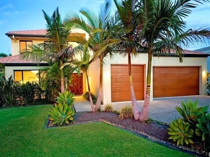 棕榈科植物的景观用途,观赏棕榈植物与景观