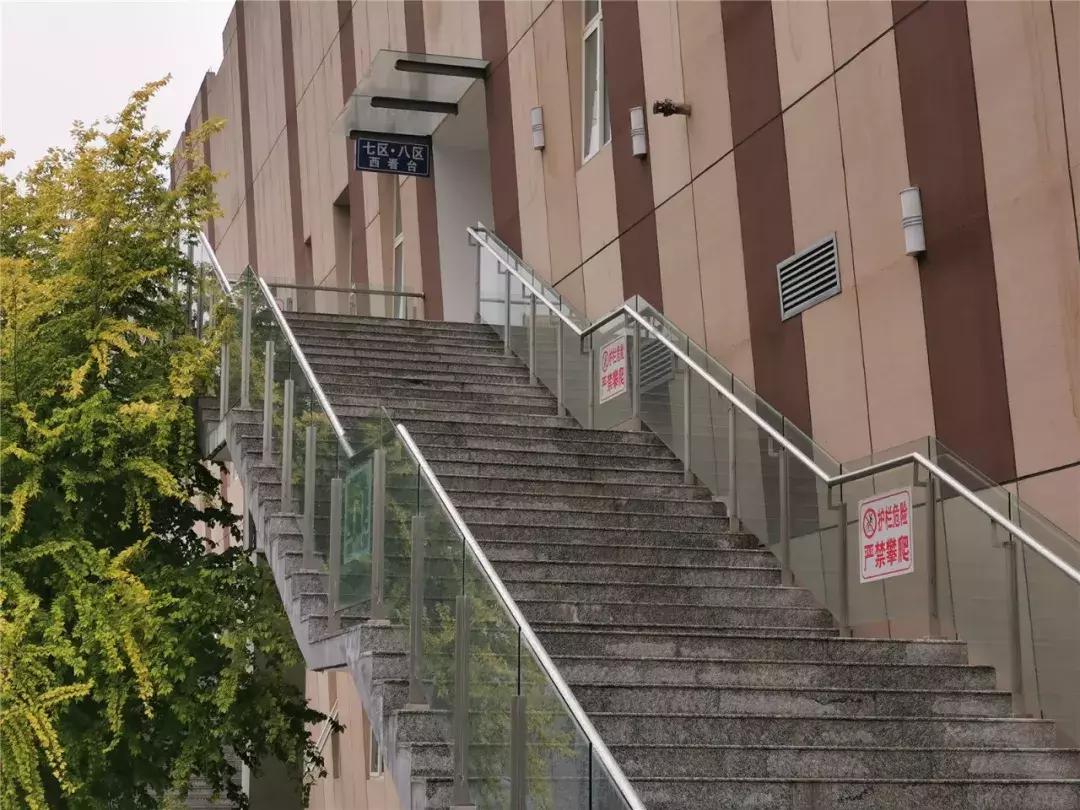 顺义城南体育中心室外场地开放,顺义区城南体育场开放时间