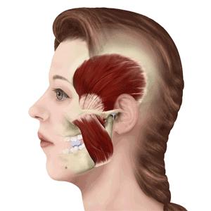 鎵撶槮鑴搁拡鎮勬倓鍙樼編,瀹夊績鍙樼編鐨勪汉閫傚悎鐦﹁劯閽堝悧