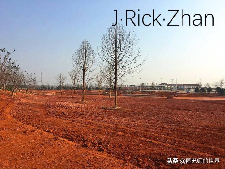 怎么种植草坪不长杂草,如何养好草坪