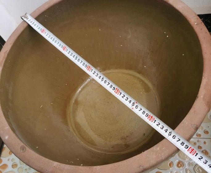 浅水缸养睡莲和鱼的方法,过滤陶缸养殖睡莲