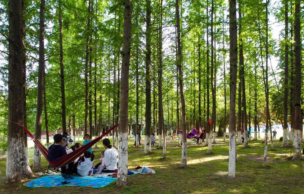 在大厂工作是种什么体验,生活在大厂是种什么样的体验