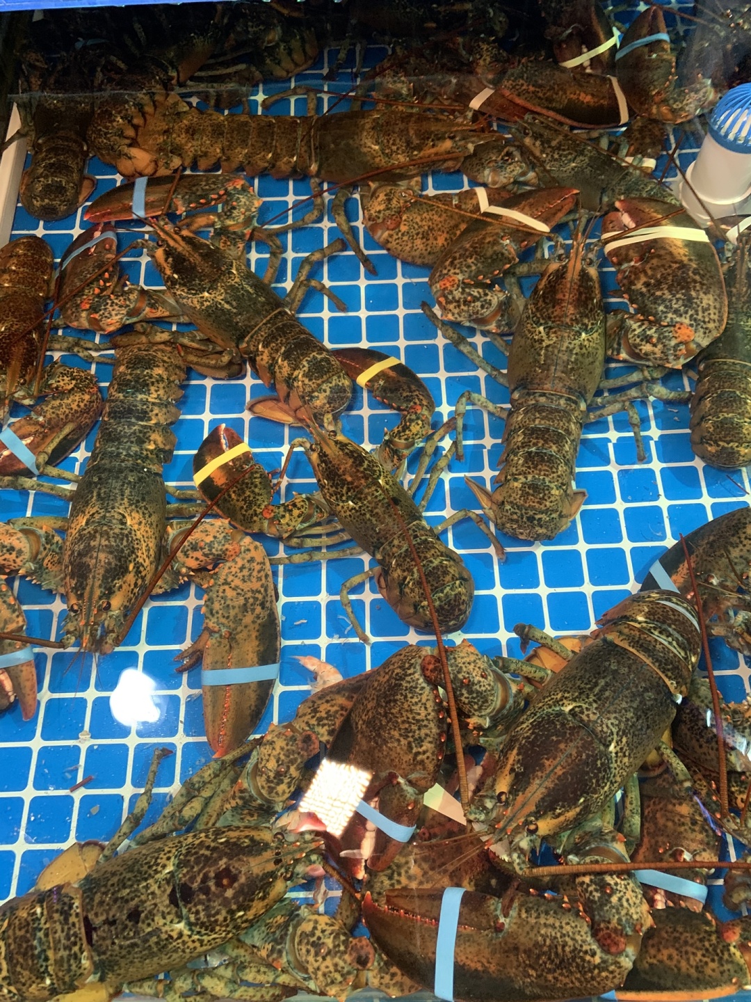 30年老厨师毫不保留教你做香辣酱,30年的老厨师教做新疆大盘鸡