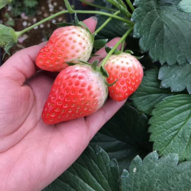 产后身材恢复大逆袭,产后身体塑形动作