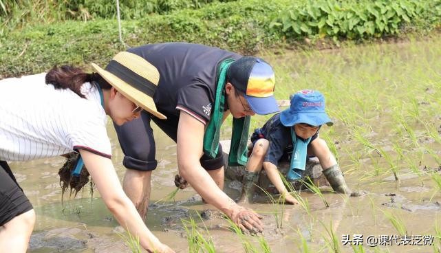 郭晶晶背着爱马仕的包,郭晶晶拎13万的爱马仕