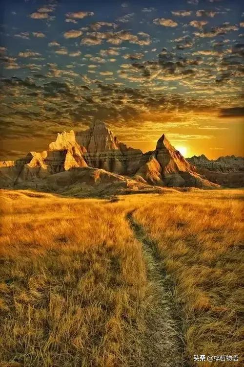 知乎摘录精彩问答56条，读后让人豁然开朗！