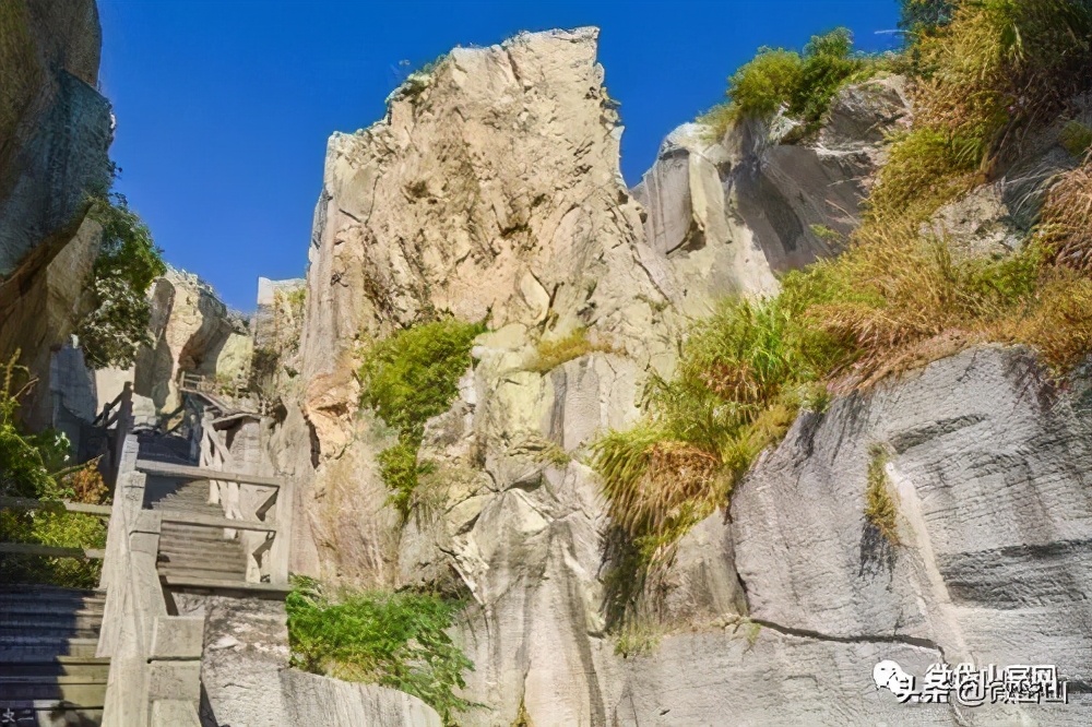 你好，我叫岱山，这是我的最新简历