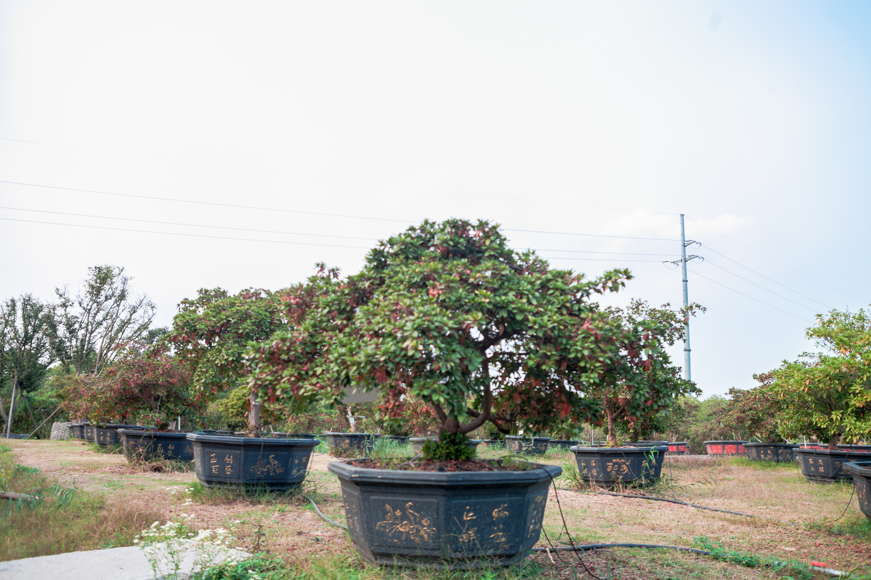 秋天的无锡美的醉人，去无锡旅行，这些好地方不要错过了