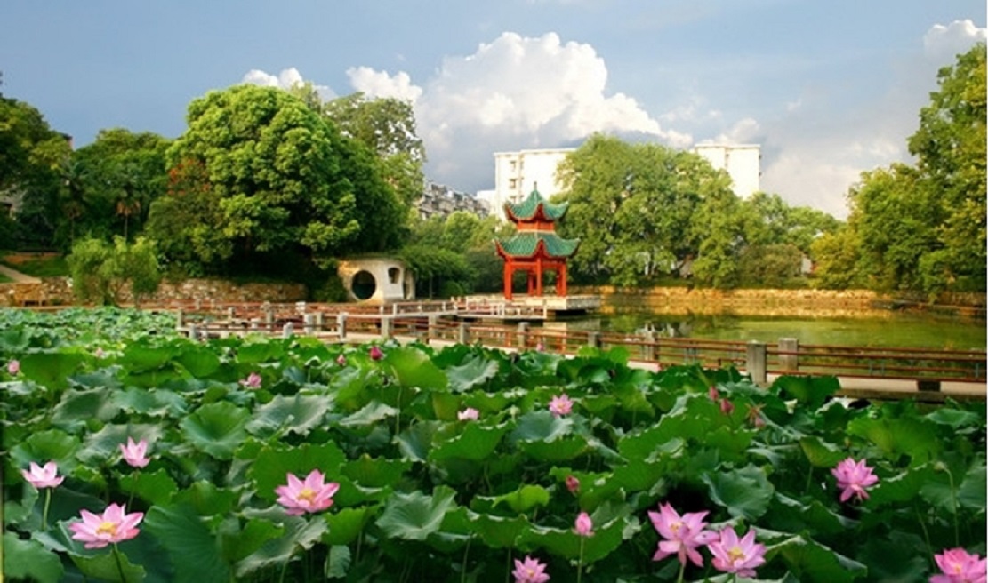 中南大学优势学科排名,中南大学王牌专业一览表