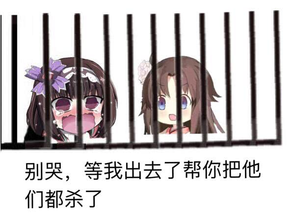 fgo剑阶两仪式值得练吗,fgo两仪式满破