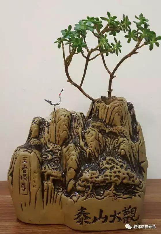 切割陶瓷酒瓶做花盆最简单的方法,没有工具怎么把陶瓷酒瓶弄成花盆