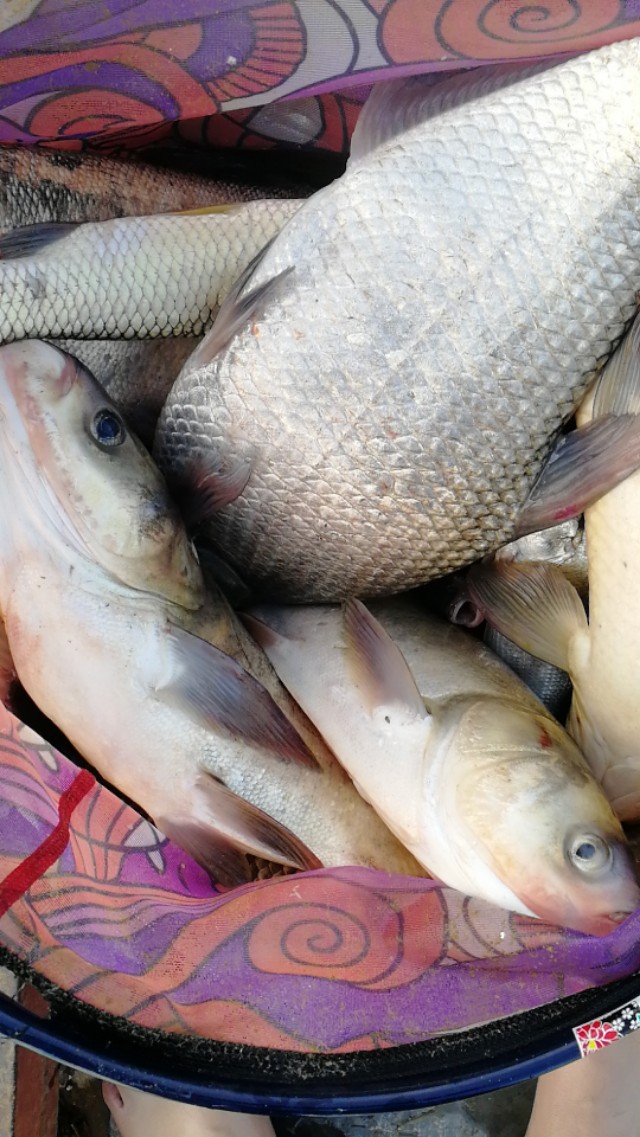 高手钓鱼精准调漂技巧,调漂技巧全解析