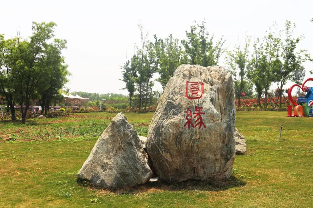 5.17遇见Ta在一起|这里有个不一样的脱单机会，速来~