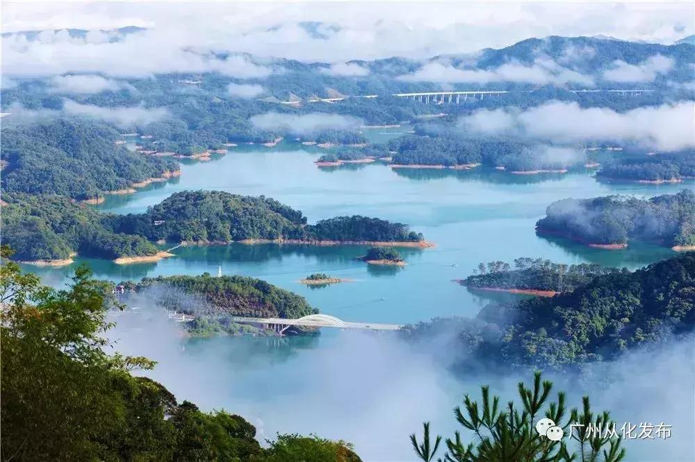 广州11个区详解,广州12个区