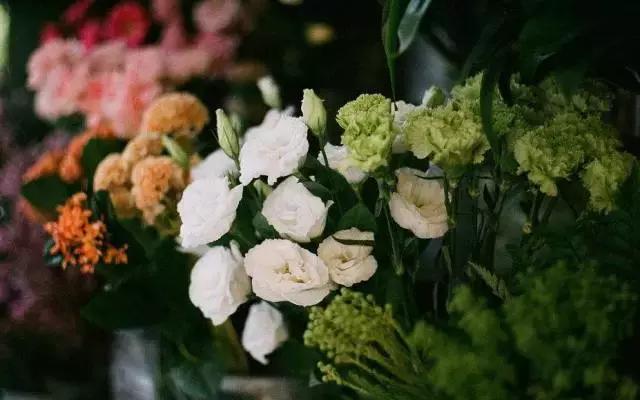 花店真的赚钱吗,为什么花店亏损那么多