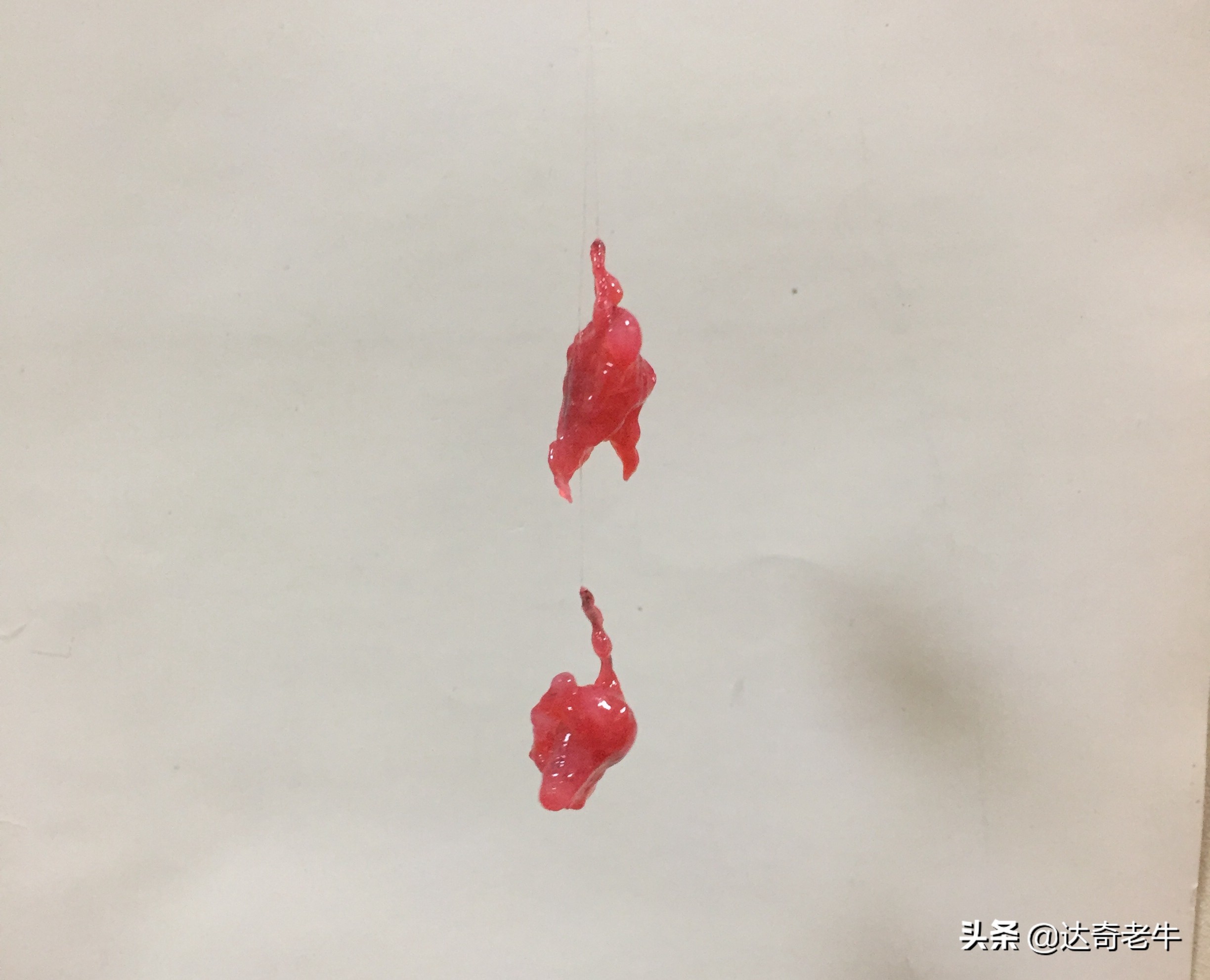 能让虾滑膨胀的饵料,虾滑饵料冬天野钓鲫鱼效果