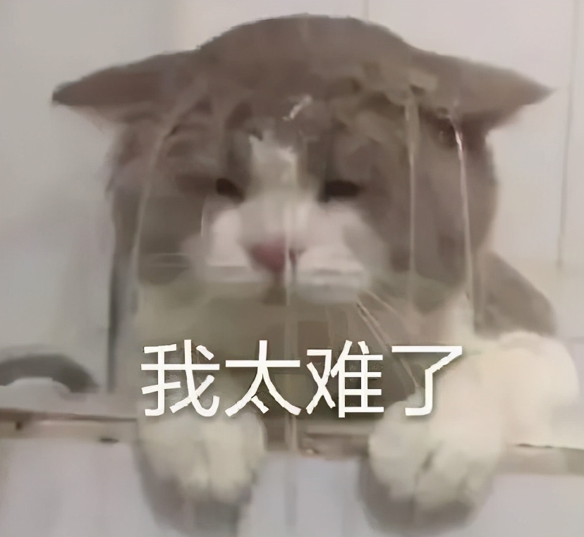 网购买到假货平台有责任么,现在网购假货这么多谁在管